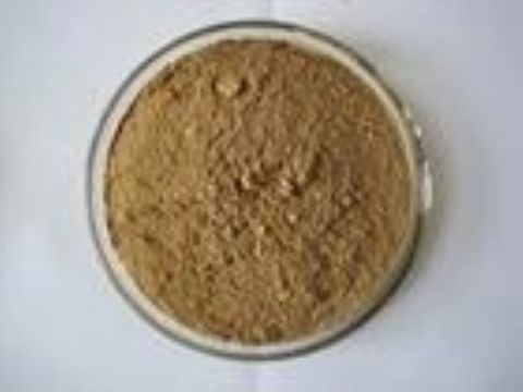 Ginseng Root Extract   